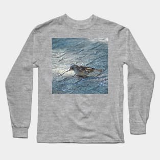 Sparrow Bird Closeup Urban Wildlife Long Sleeve T-Shirt